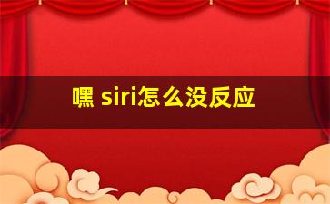 嘿 siri怎么没反应